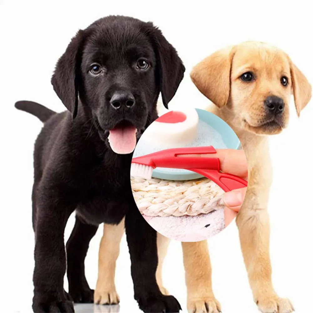 10Pcs Pet Finger Toothbrushes Soft Pet Toothbrushes Pet Tooth Cleaners Dog Dental Brushes Pet Toothbrushes Set with Curved Handle for Dog Cat