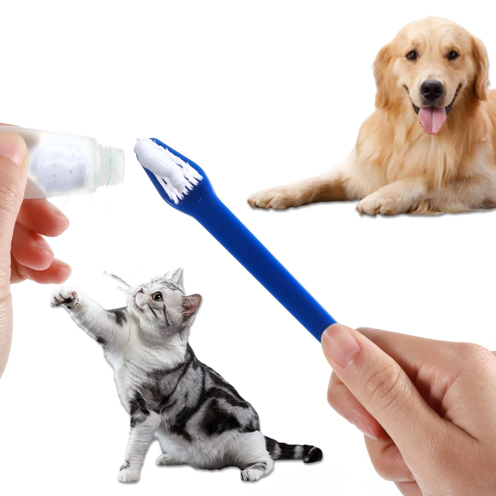12 PCS Dog Toothbrush Bulk Double Headed Dog Pet Toothbrush Puppy Toothbrush for Small Dogs Soft Bristles Long Handle Dog Tooth Brushing Kit for Dogs Cat and Most Pets Teeth Cleaning Dental Oral