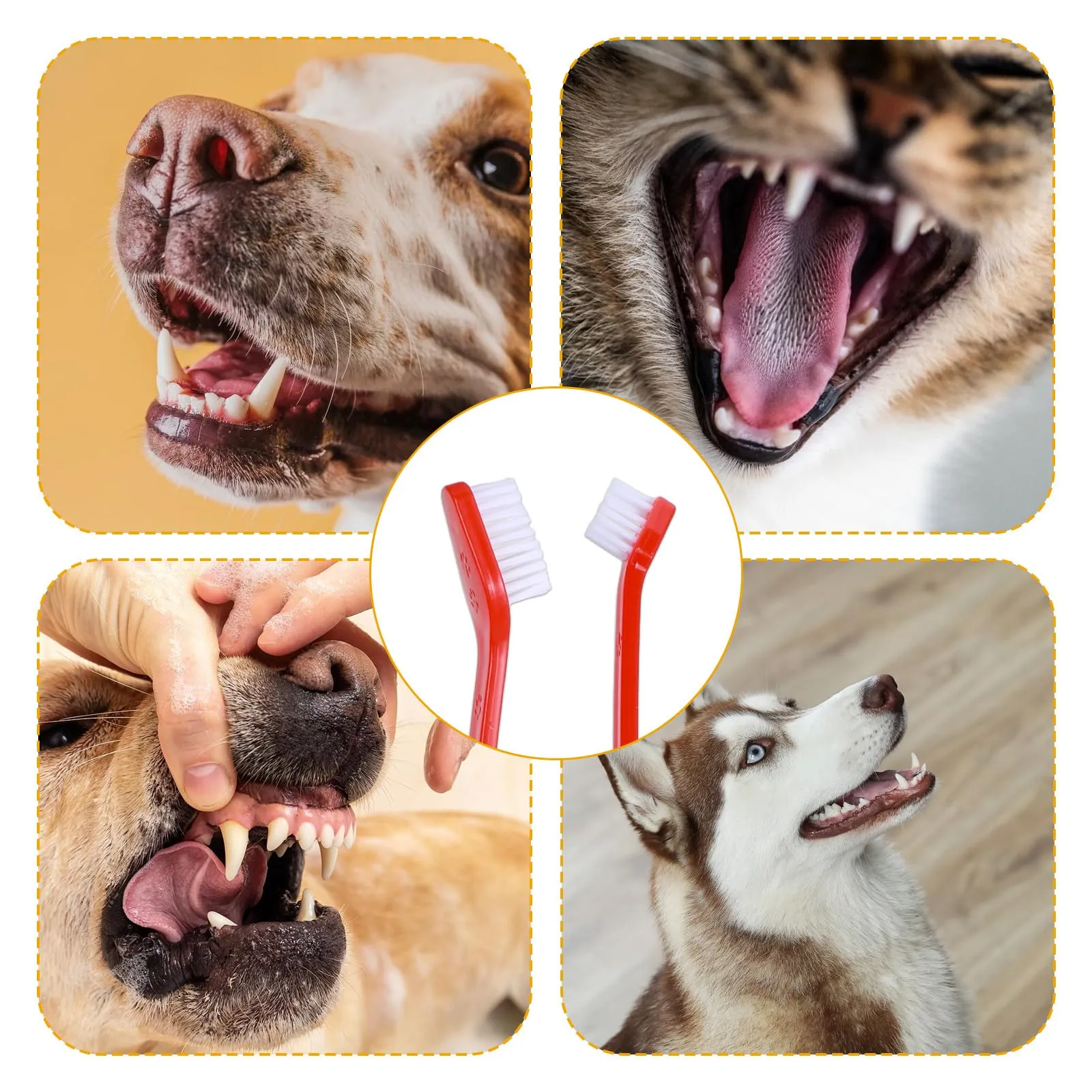 12 PCS Dog Toothbrush Bulk Double Headed Dog Pet Toothbrush Puppy Toothbrush for Small Dogs Soft Bristles Long Handle Dog Tooth Brushing Kit for Dogs Cat and Most Pets Teeth Cleaning Dental Oral
