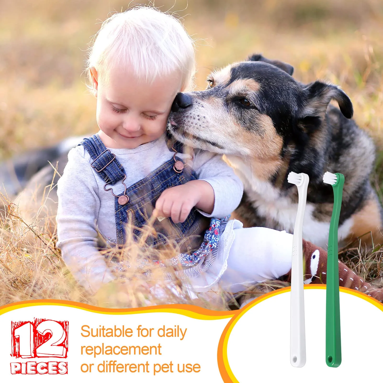12 Pcs Small Dog Toothbrush Mini Head Cat Toothbrush Soft Bristles Dog Tooth Brush Gentle Pet Toothbrush Long Handle Tooth Brush for Puppy Cats Large and Small Dog Dental Care, 2 Colors