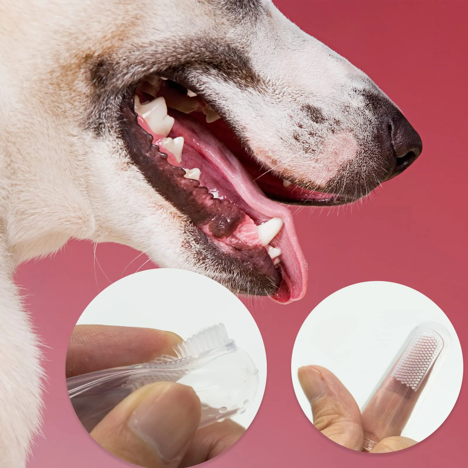 12 Pieces Pet Finger Toothbrush, Soft Silicone Pet Finger Toothbrush, Food Safety Tooth Cleaner, Dog Cat Dental Brushes Kit for Dogs Cats Pets Dental Care(Transparent Color)
