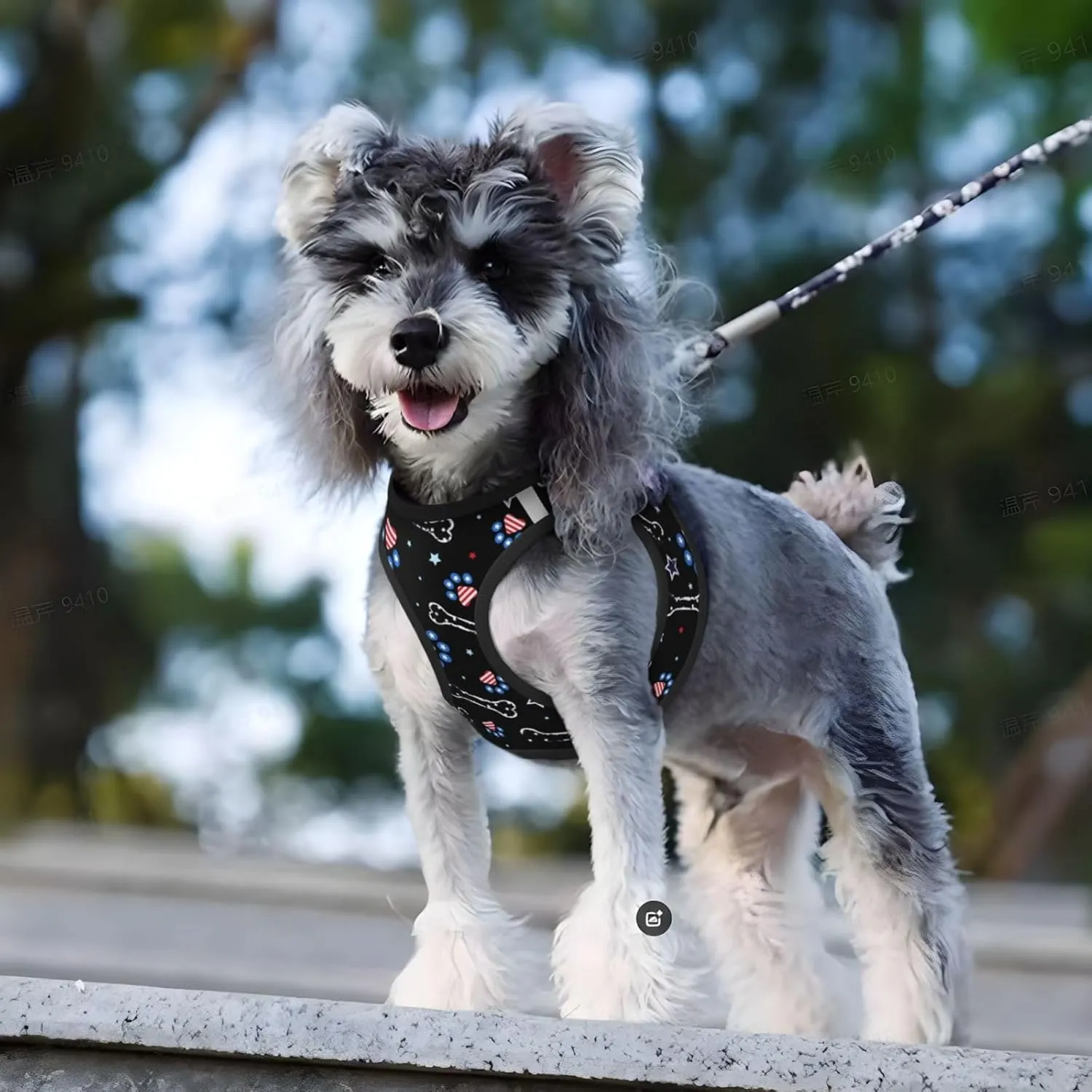 4th July with Paw Print No Pull Dog Harness and Leash Set, Cute Reflective Adjustable Vest for Small Dogs,Breathable Mesh Puppy Harness for Walking Hiking,Medium