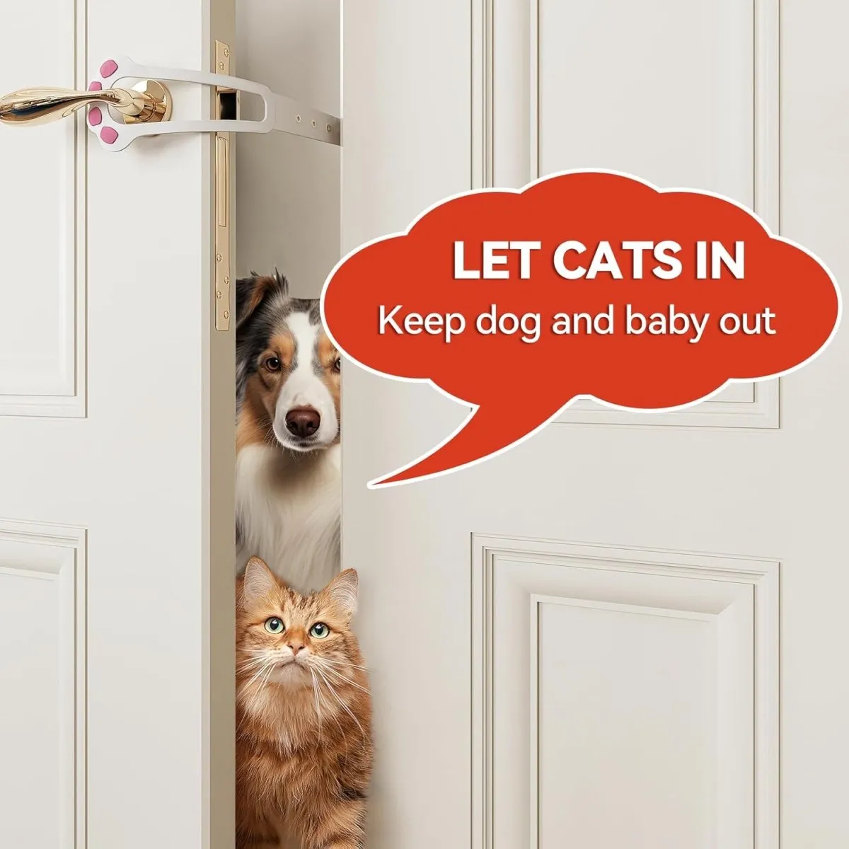 Adjustable No-Tool Cat Door Holder Lets Cats In and Keeps Dogs Out of Litter and Food Areas