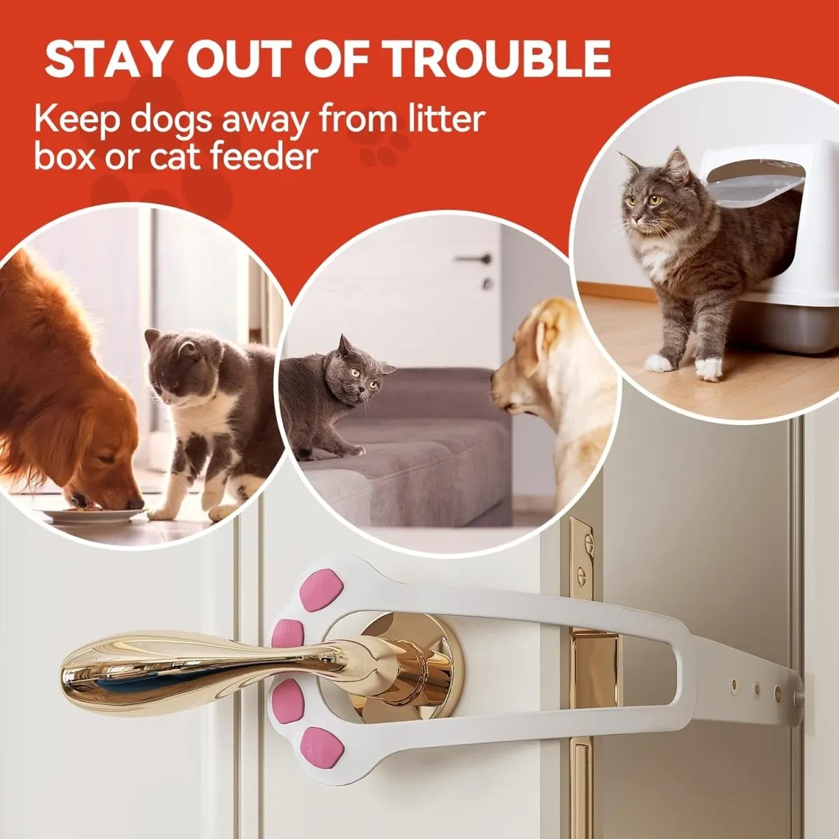 Adjustable No-Tool Cat Door Holder Lets Cats In and Keeps Dogs Out of Litter and Food Areas