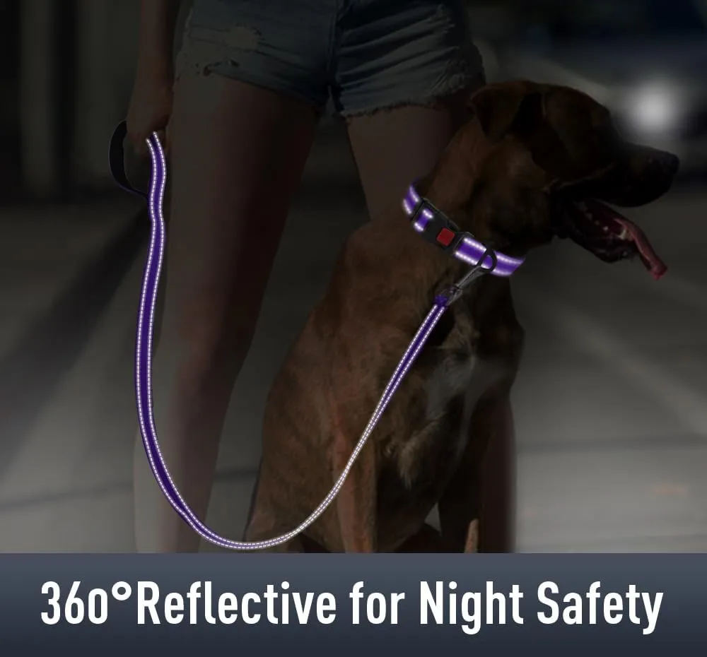 Airtag Dog Collar with AirTag Holder for Large Dogs, Reflective, Soft Padded & Safety Locking Buckle, Nylon Pet Collars Adjustable for All Breeds, Purple,L