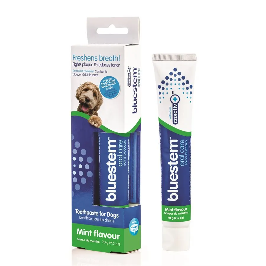 Bluestem Oral Care Vanilla-Mint Flavored Toothpaste & Toothbrush Combo Pack 70g Dog