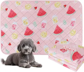 BVAGSS Washable Pee Pads for Dogs, 2 Pack Reusable Leakproof Puppy Wee Wee, Non-Slip Waterproof Pet Training, Super Absorbent Whelping XH081 (Watermelon, 24X18 Inch)