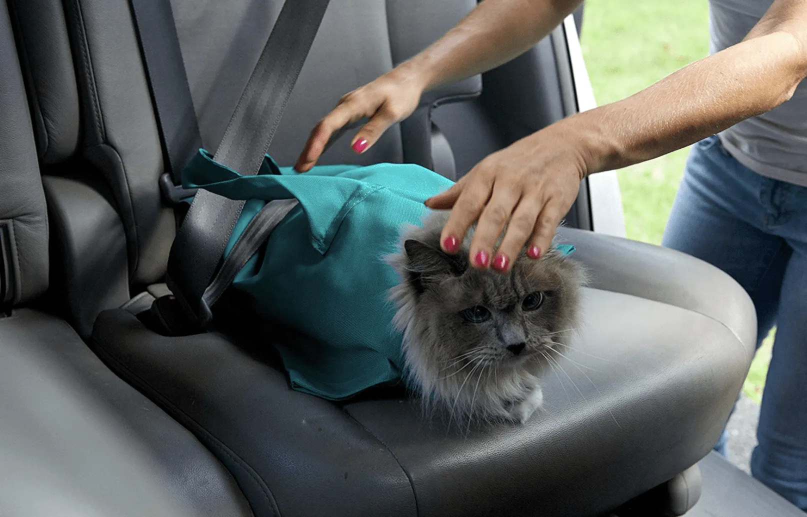 Cat Carrier Pouch [BUY 1 GET 1 FREE]