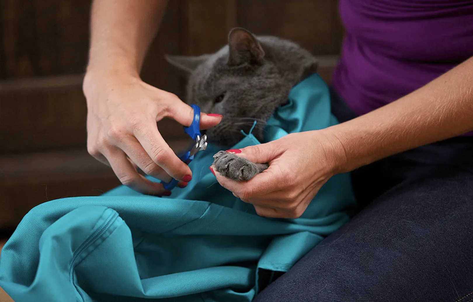 Cat Carrier Pouch [BUY 1 GET 1 FREE]