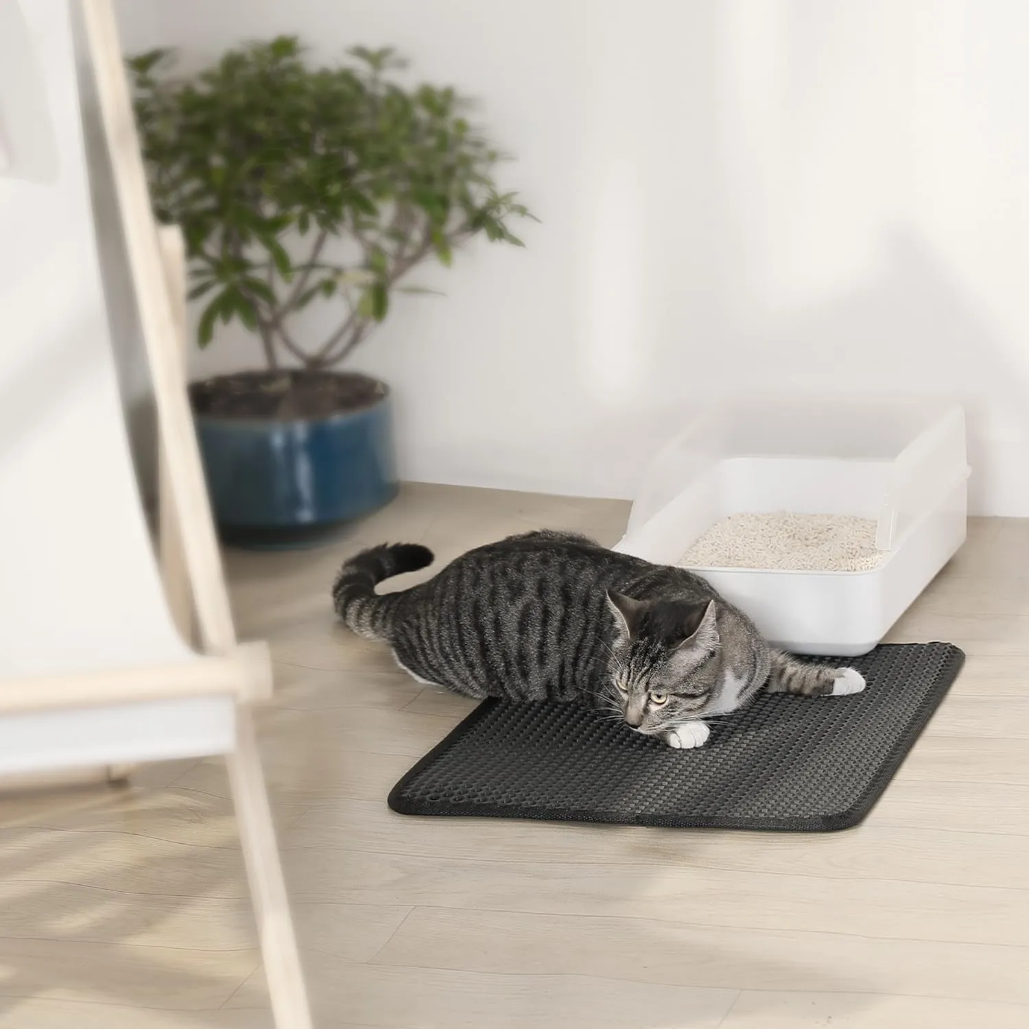 Cat Litter Trapping Mat for Small Spaces, 23.6"x14.6" Space-Saving Litter Box Floor Mat, Hexagon Grids & Anti-Leak Base, Machine Washable, Non-Slip Kitty Matt for Apartment, Black