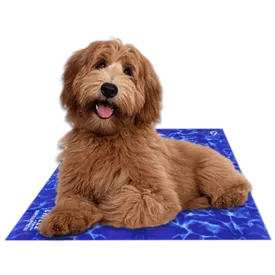 Chillz Gel Mat