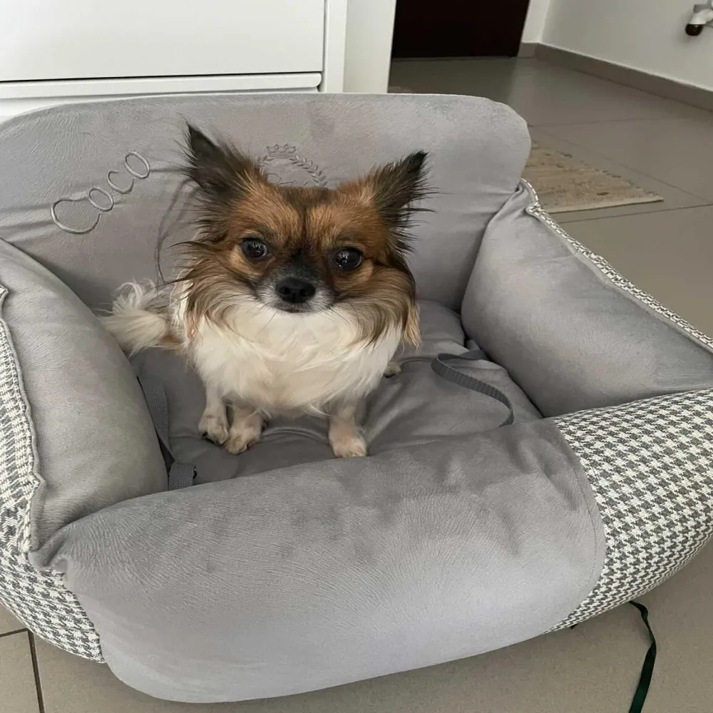 Chloe's Home Car Bed Berlin for Dogs and Cats (Grey)