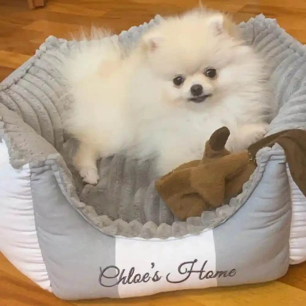 Chloe's Home Monte Carlo Bed for Dogs and Cats (Grey)