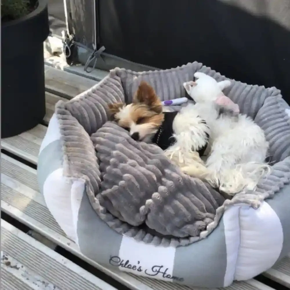 Chloe's Home Monte Carlo Bed for Dogs and Cats (Grey)