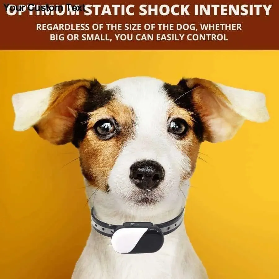 Collar Dog Training Shock Remote Waterproof Rechargeable Pet Electric Yard Large Control Small 2000