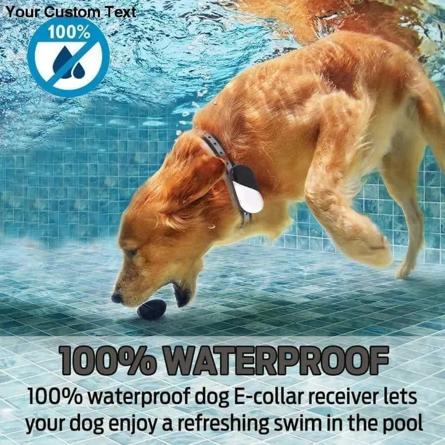 Collar Dog Training Shock Remote Waterproof Rechargeable Pet Electric Yard Large Control Small 2000