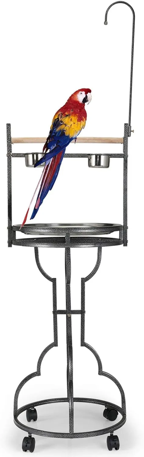 COZIWOW 72" Parrot Stand,Stainless Steel Tray Bowls Large Bird Playstand,Parrot Perch with Easy Grip,Wrought Iron Bird Stand with Toy Hook,Macaw Play Gym Ground Stand Rolling Wheel,Pet Gift