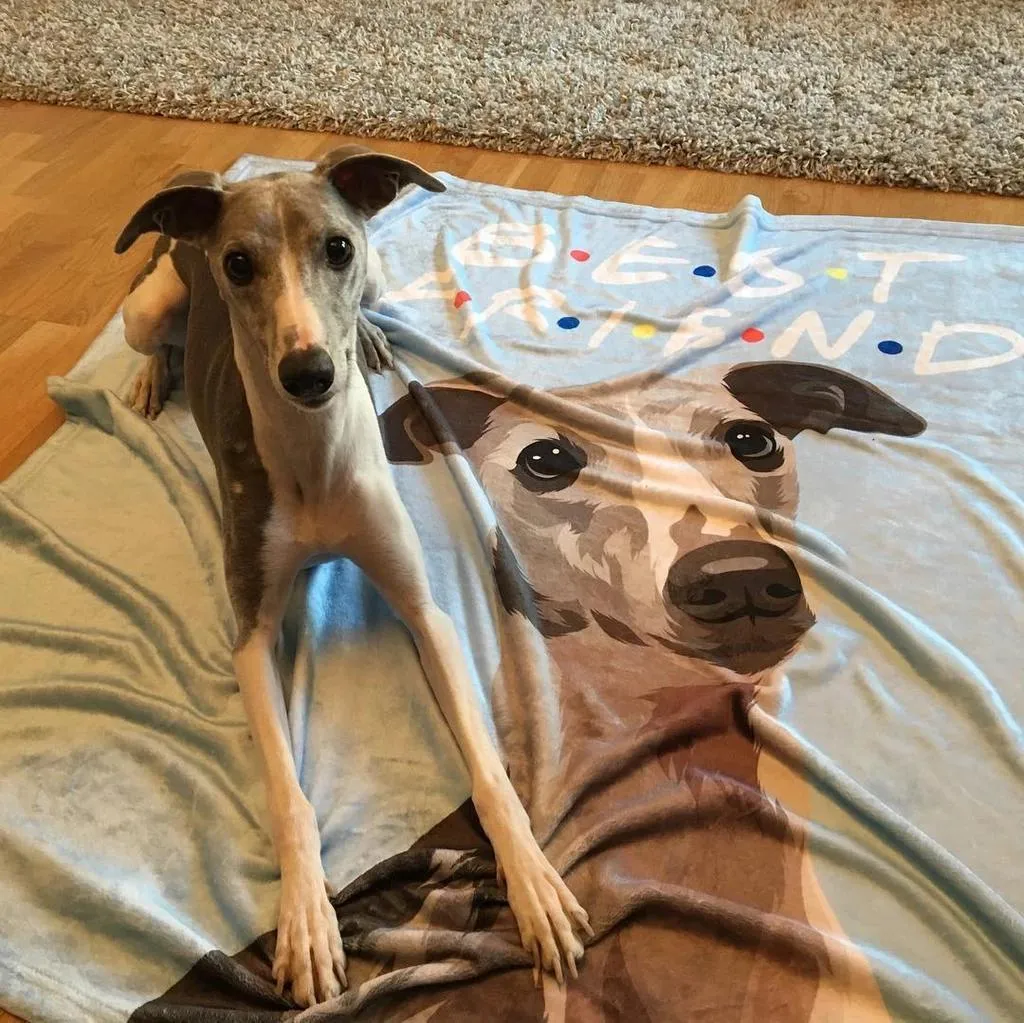 Custom Dog Blankets Personalized Pet Photo Blankets Painted Art Portrait Fleece Blanket Best Gift 2021 Pet Portrait Blanket