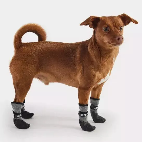 Dog Booties
