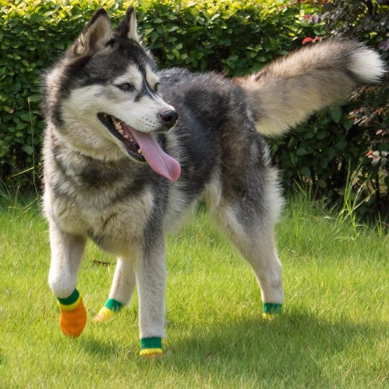 Dog Boots For The Snow