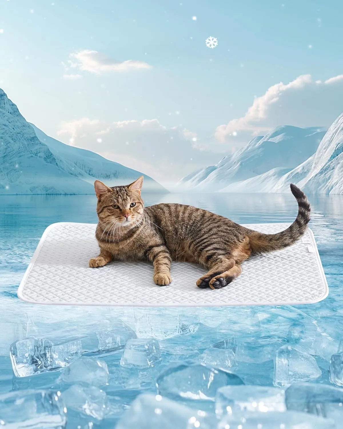 Dog Cooling Mat - Instant Cooling Pet Bed for Dogs & Cats, 6-12F Drop, Non-Toxic & Machine Washable, Anti-Slip Bottom, Cool Mat for Indoor & Travel Use Light Gray 24" x 18"