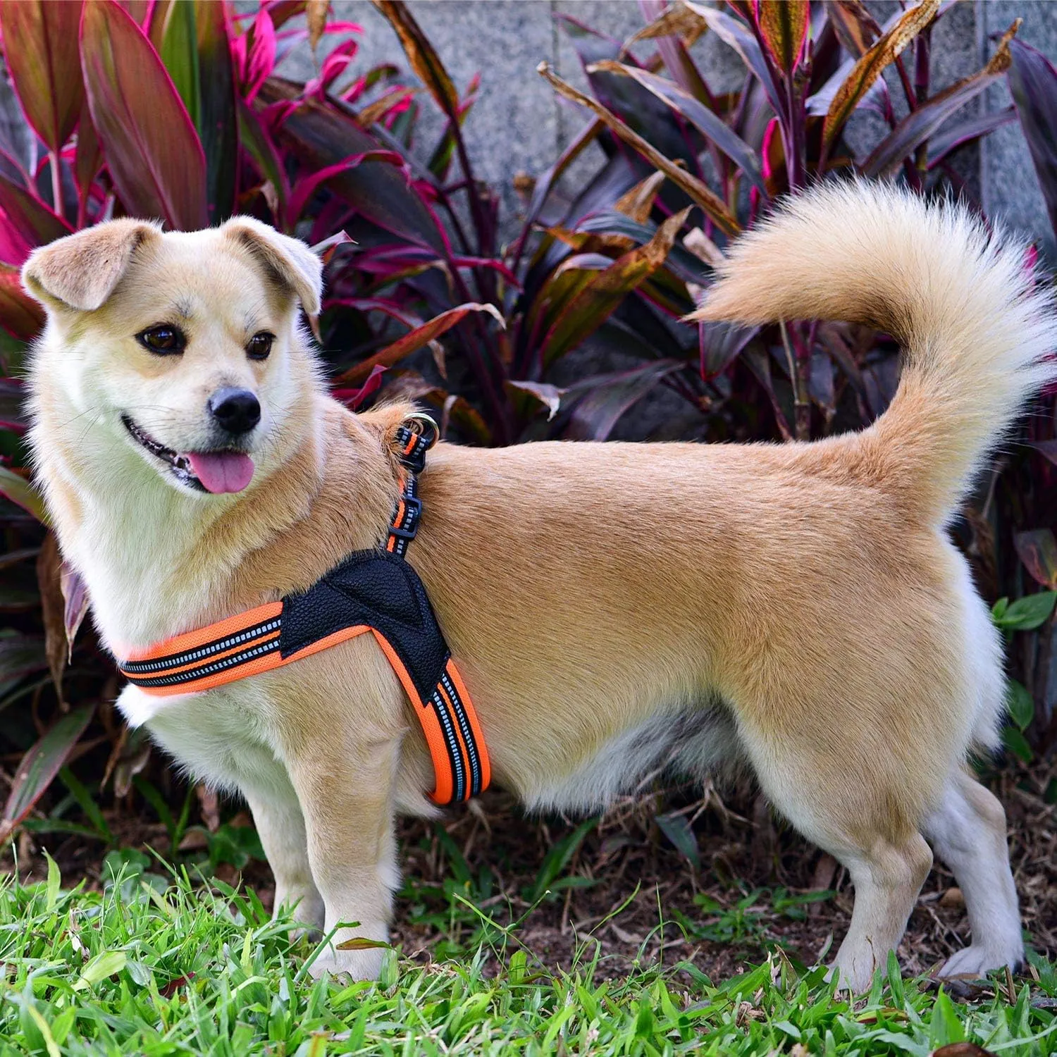 Dog Harness No Pull Ultra Soft Breathable Padded Pet Harness 2 Adjustable Botton, 3M Reflective Pet Harness for Dogs Easy Control for Small Medium Large Dogs (M, Black)