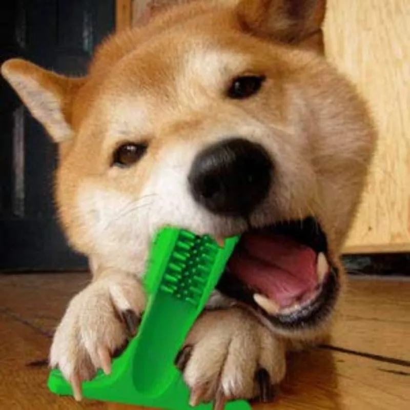 Dog Toothbrush Stick Toy of Natural Rubber for Dental Care Cleaning & Massaging