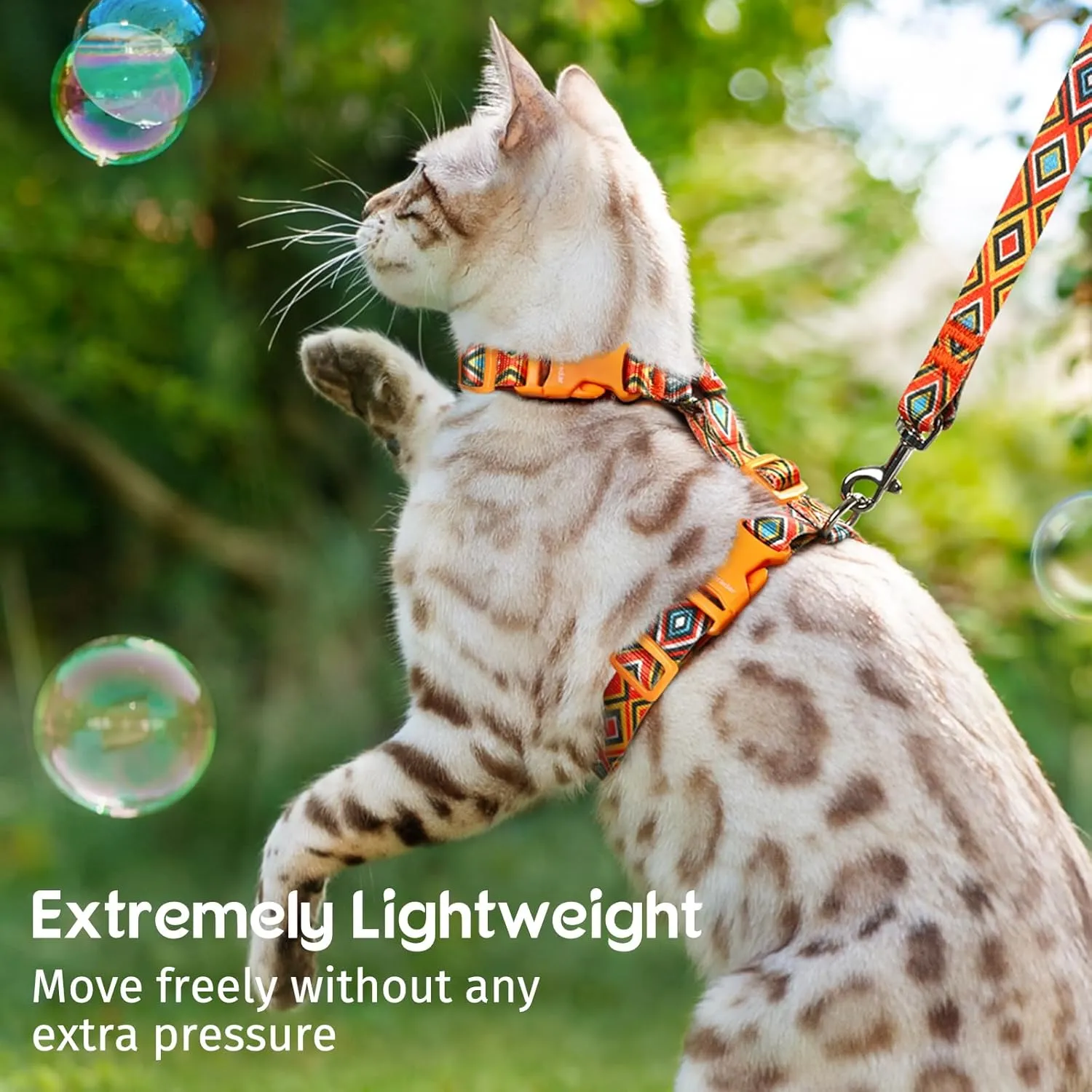 Dooradar Cat Harness and Leash, Escape Proof Adjustable Kitten Vest, Lightweight Soft Pet Straps, Easy Wearing for Small Medium Kitty Safe Walking Travel Control, Orange & Black, M