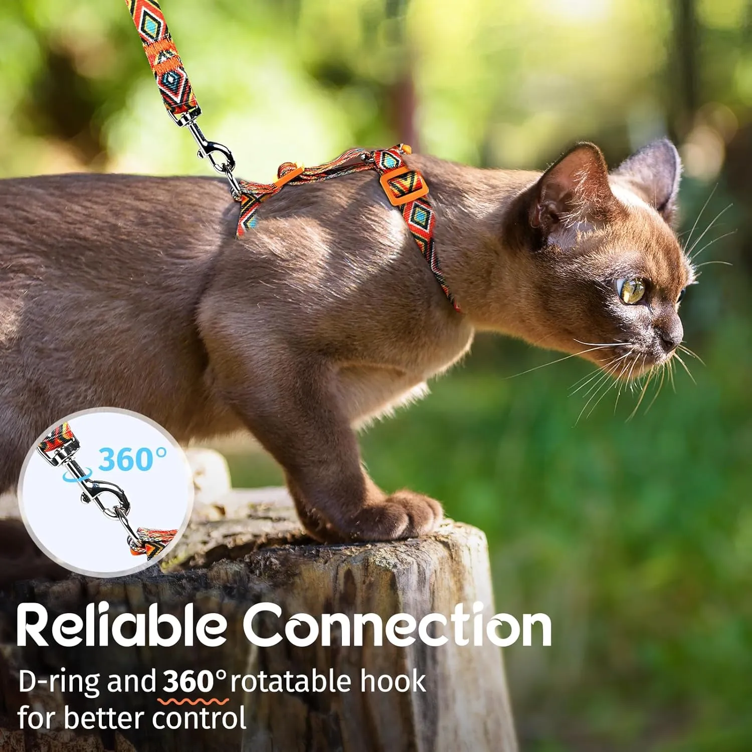 Dooradar Cat Harness and Leash, Escape Proof Adjustable Kitten Vest, Lightweight Soft Pet Straps, Easy Wearing for Small Medium Kitty Safe Walking Travel Control, Orange & Black, M