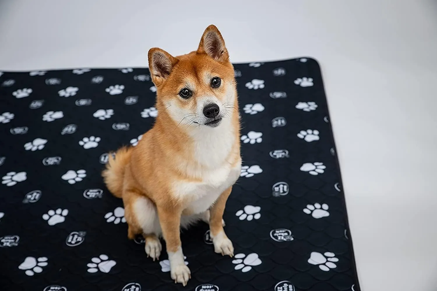 EZwhelp Reusable Dog Pee Pads, Washable Waterproof Mats for Dog Potty Training or Whelping Pads, 50x50 Inch, 2 Pack