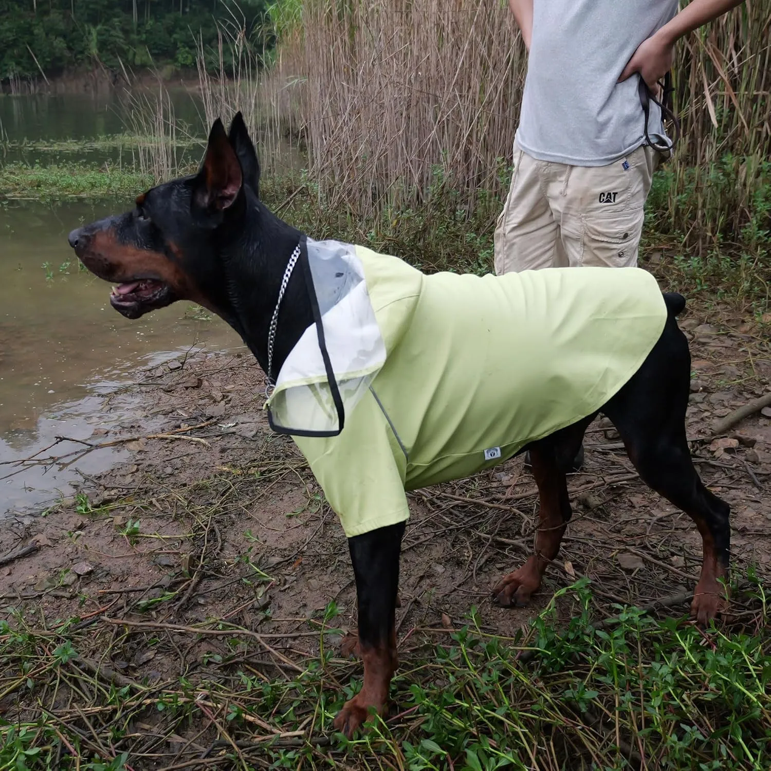 LoveLonglong Premium Waterproof Dog Raincoat with Reflective Safety Features Pet Raincoats for Large Medium Small Dogs Light Green XL