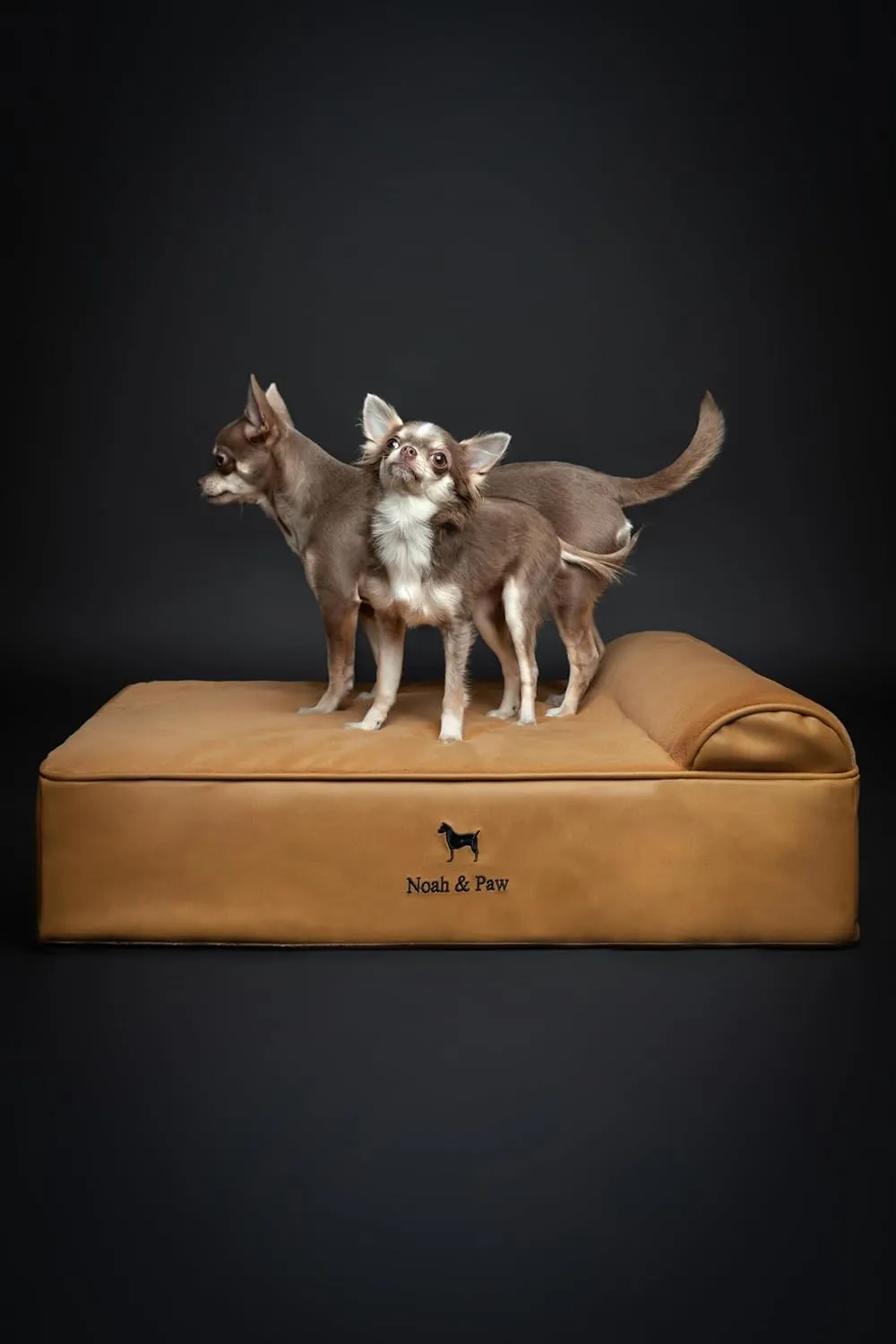 NOAH & PAW Dog Bed, 28x23x11 Inch, Orthopedic Dog Beds for Medium Size Pets, Eggshell Memory Foam Infused with Cooling Gel, Waterproof, Machine Washable, Includes Inner Cover (Faux Leather)