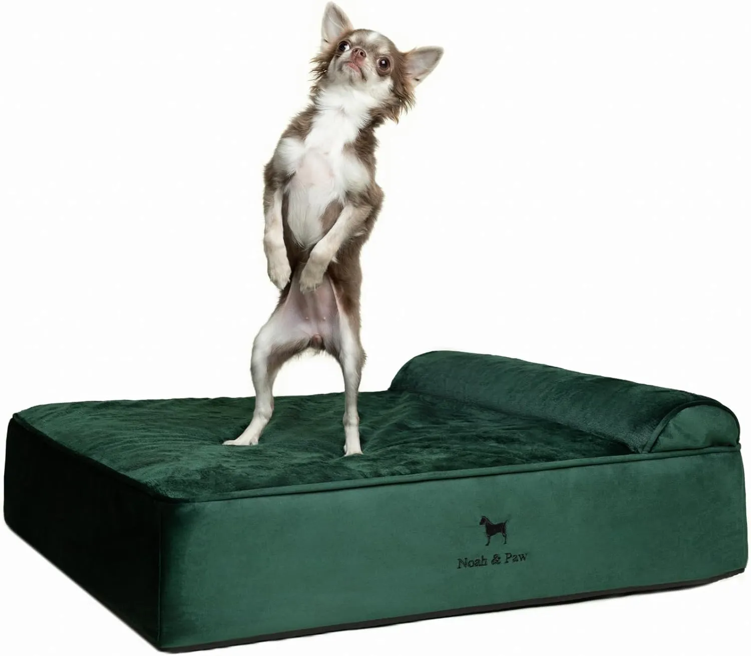 NOAH & PAW Dog Bed, 28x23x11 Inch, Orthopedic Dog Beds for Medium Size Pets, Eggshell Memory Foam Infused with Cooling Gel, Waterproof, Machine Washable, Includes Inner Cover (Velvet Collection)