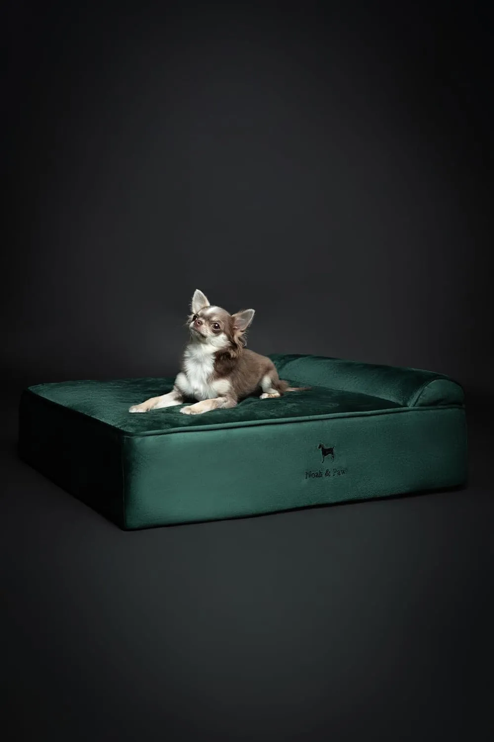 NOAH & PAW Dog Bed, 28x23x11 Inch, Orthopedic Dog Beds for Medium Size Pets, Eggshell Memory Foam Infused with Cooling Gel, Waterproof, Machine Washable, Includes Inner Cover (Velvet Collection)