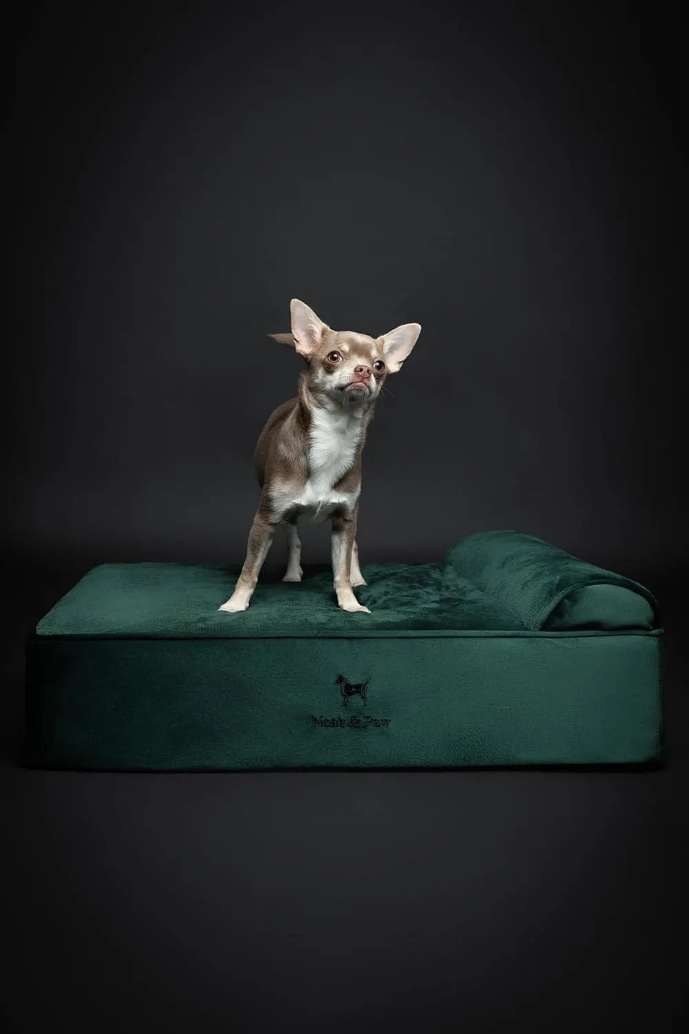 NOAH & PAW Dog Bed, 28x23x11 Inch, Orthopedic Dog Beds for Medium Size Pets, Eggshell Memory Foam Infused with Cooling Gel, Waterproof, Machine Washable, Includes Inner Cover (Velvet Collection)
