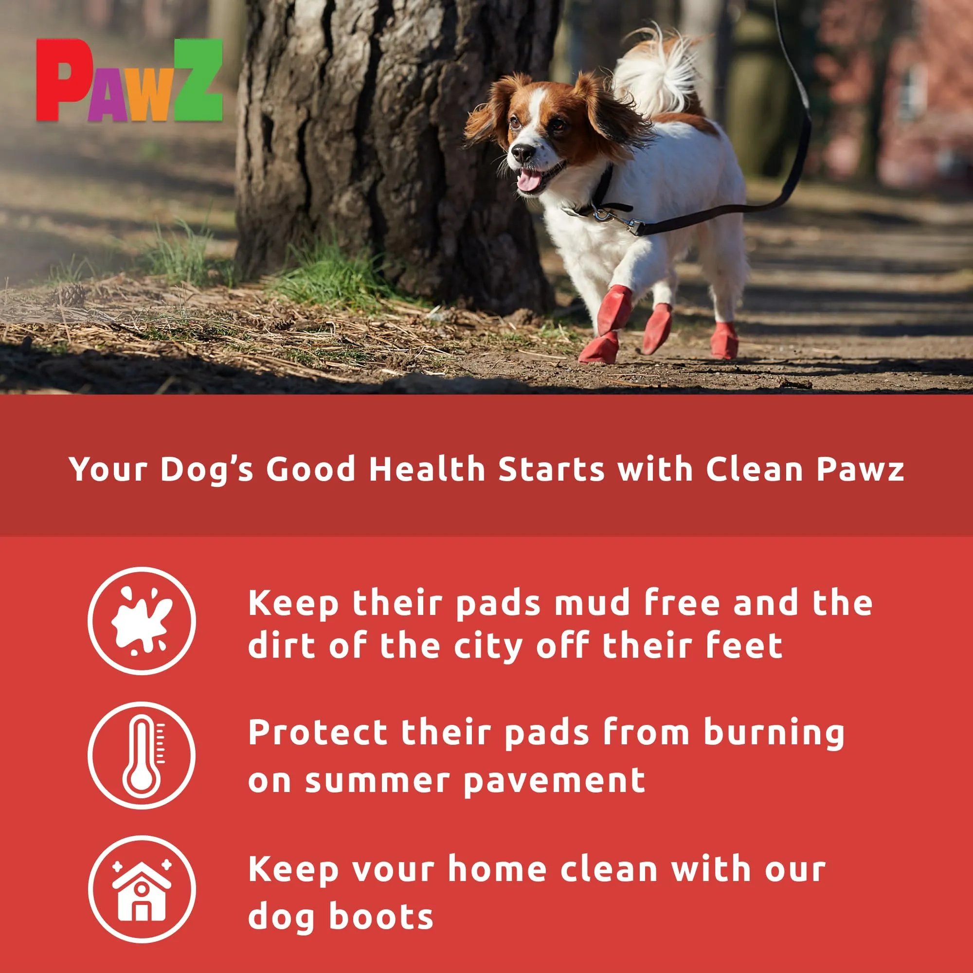 Pawz Waterproof Disposable and Reusable Rubberized Dog Boots - Black - Tiny - 12 Pack