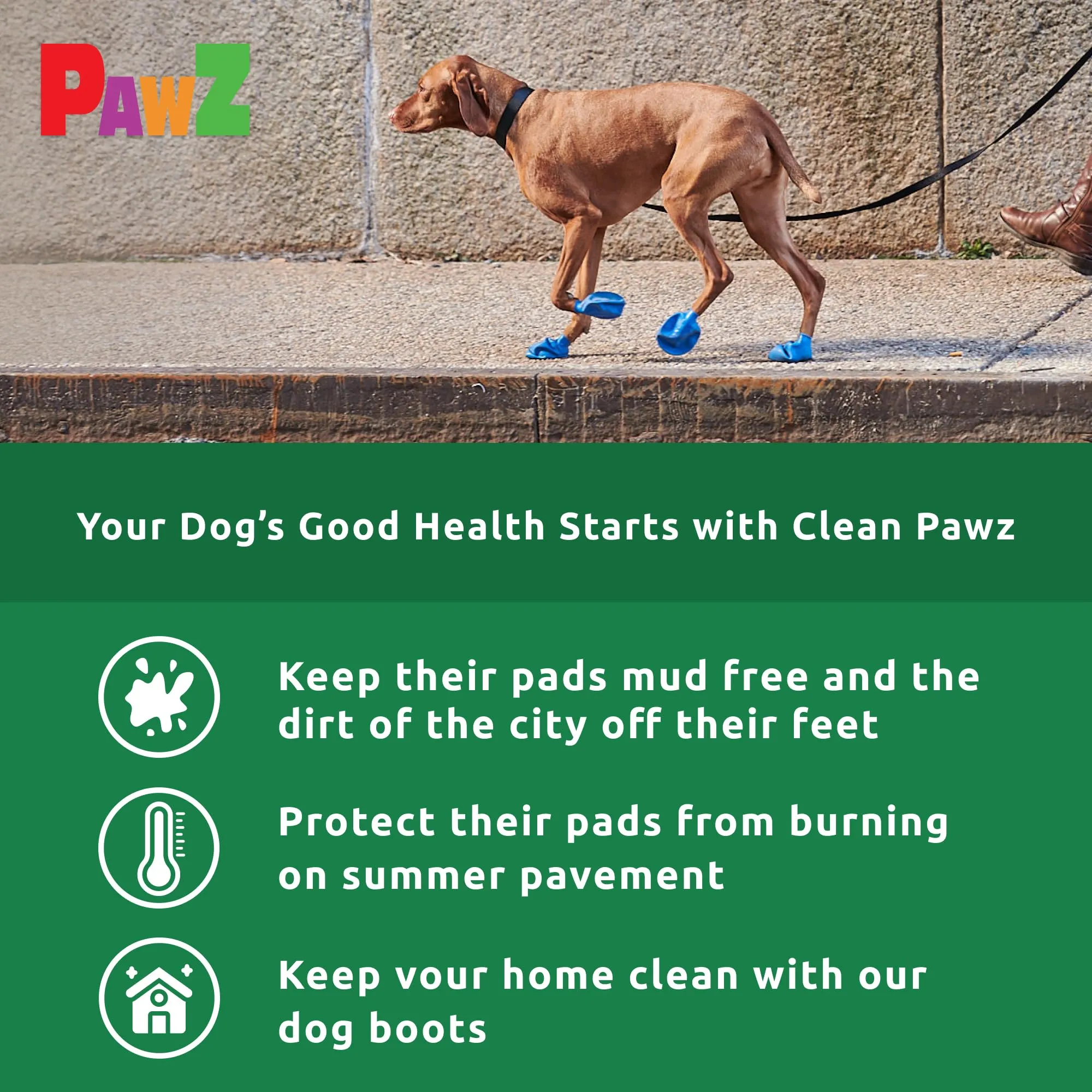 Pawz Waterproof Disposable and Reusable Rubberized Dog Boots - Light Green - Tiny - 12 Pack