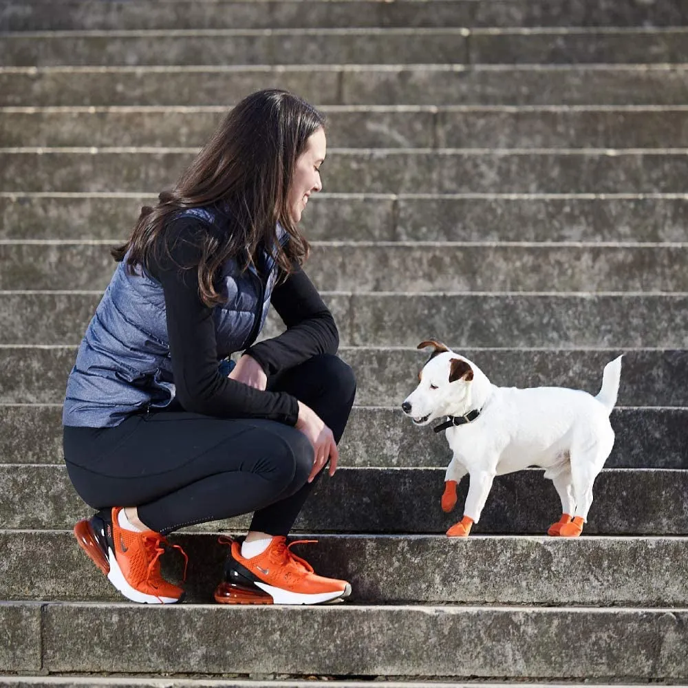 Pawz Waterproof Dog Boots