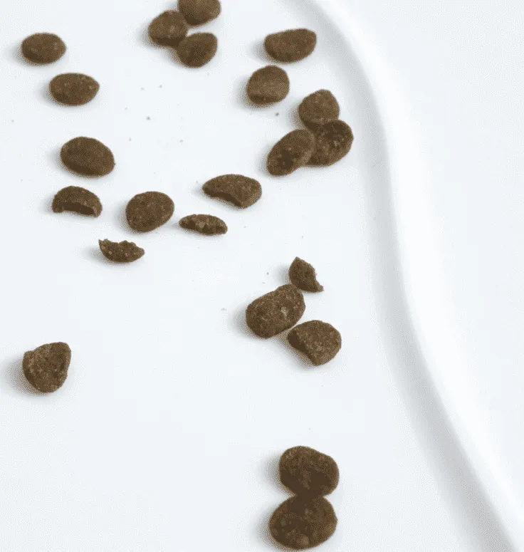 Pet Food mat Silicone Poached Egg