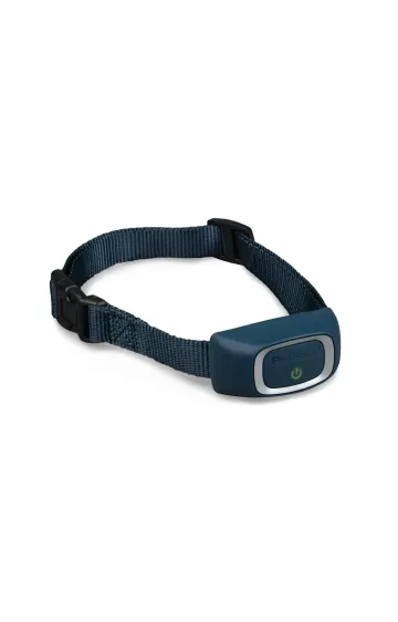 PetSafe 300 Yard Lite Remote Trainer