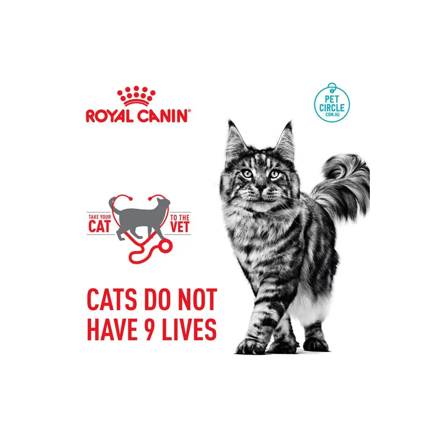 Royal Canin Exigent Savour Sensation Adult Dry Cat Food