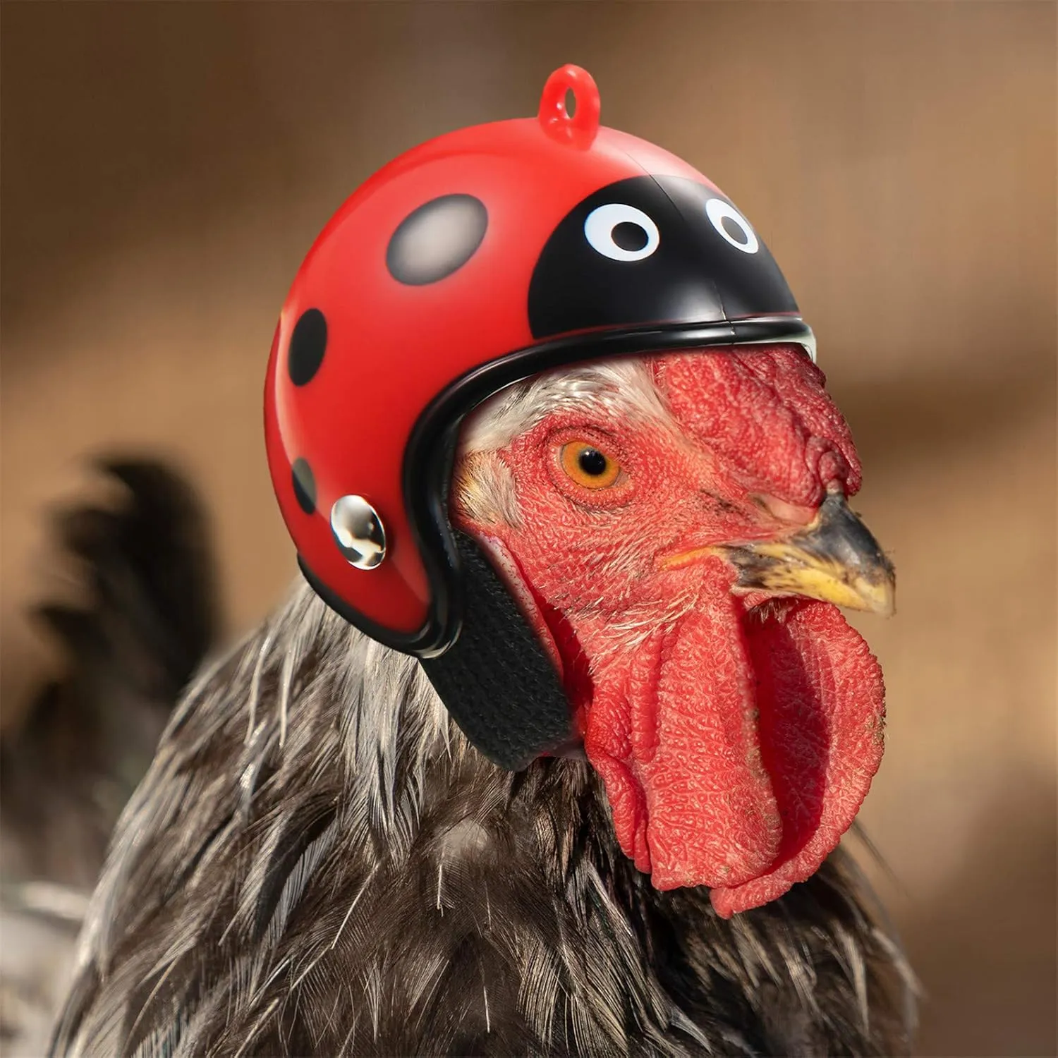 Skylety 8 Pieces Hens Helmet Chicken Pet Safety Helmet Funny Bird Hens Hat Headwear Small Pet Hard Hat Costumes Accessories for Chicken Bird Parrot Parakeet(Animal, Heart, Fruit)