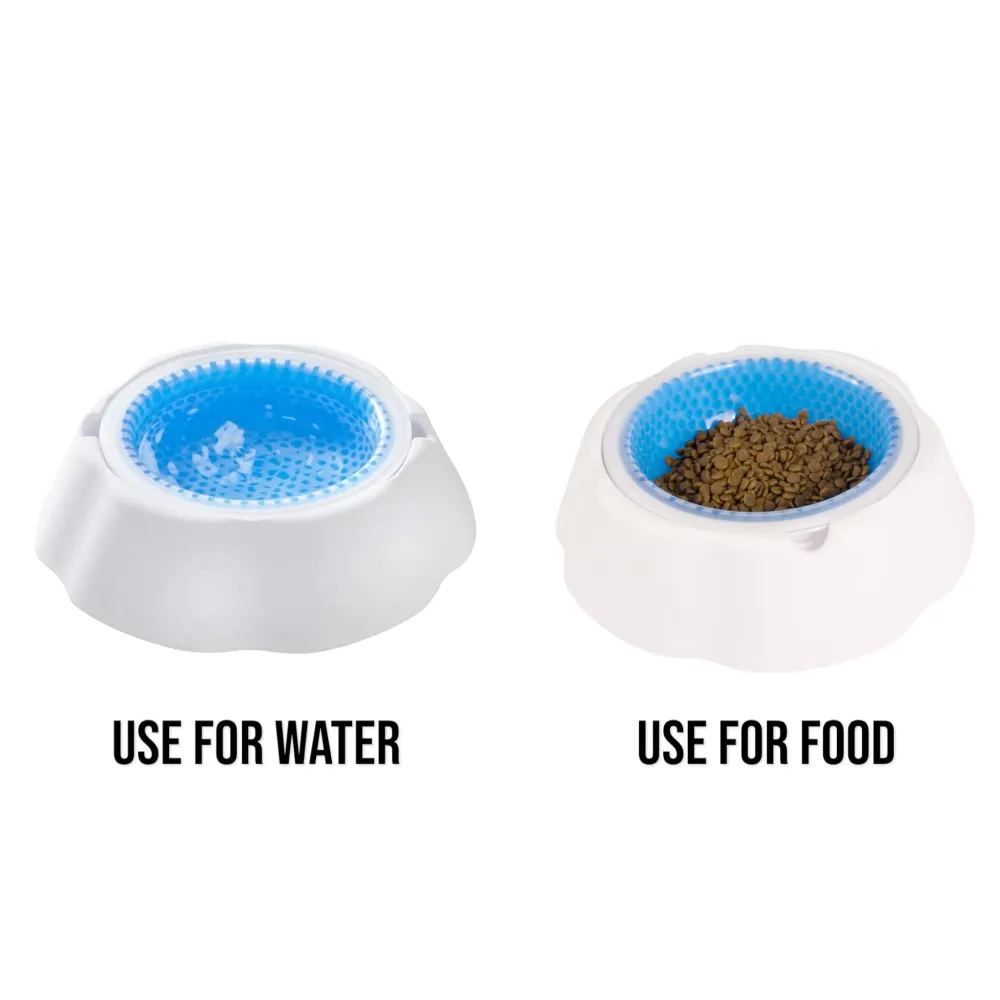 Talking Dog Club Water Fountain Bowl for Dogs (White/Blue)