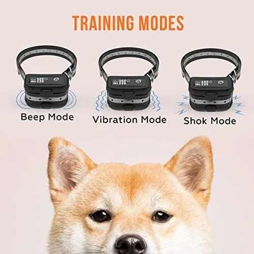 TBI Pro [All-New 2019 Dog Shock Training Collar with Remote | Heavy-Duty, Long Range 2000 ft, Rechargeable & IPX7 Waterproof | E-Collar Shock Collar for Dogs Small, Medium, Large Size, All Breeds