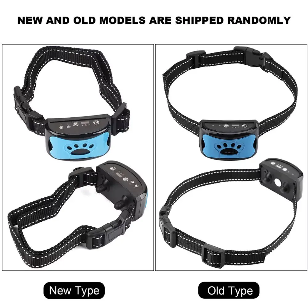 Training Collars