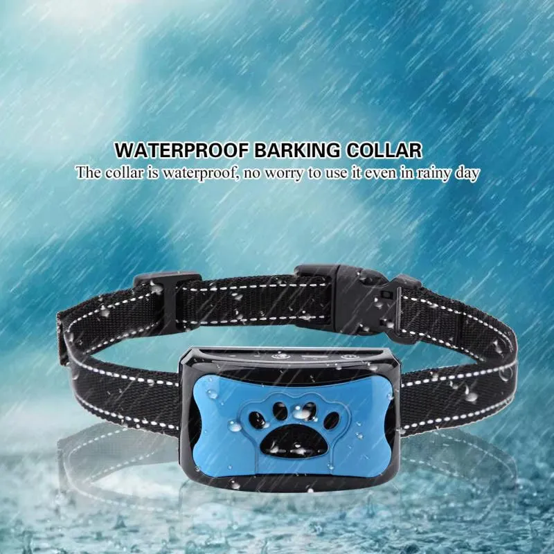 Training Collars