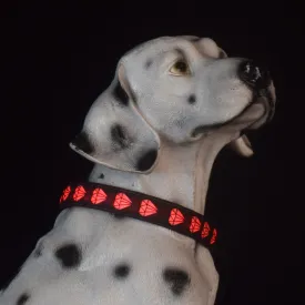Usb Rechargeable Pet Dog Collars Eco friendly Nylon Adjustable