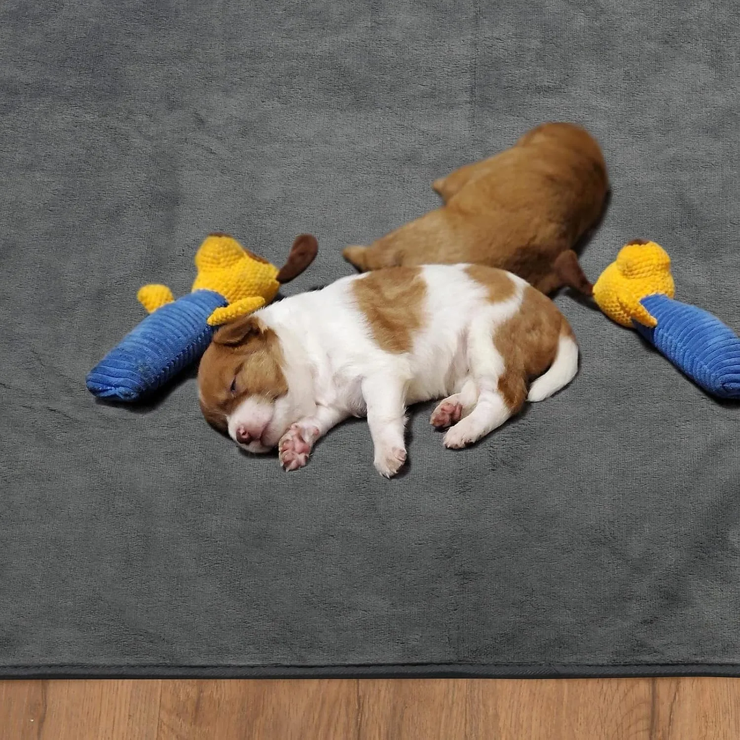 Washable Pee Pads for Dogs, 60x60 Reusable Whelping Pads, Absorb Dog Mats Non-Slip Puppy Training Pads for Whelping, Potty, Training, Playpen, Crate