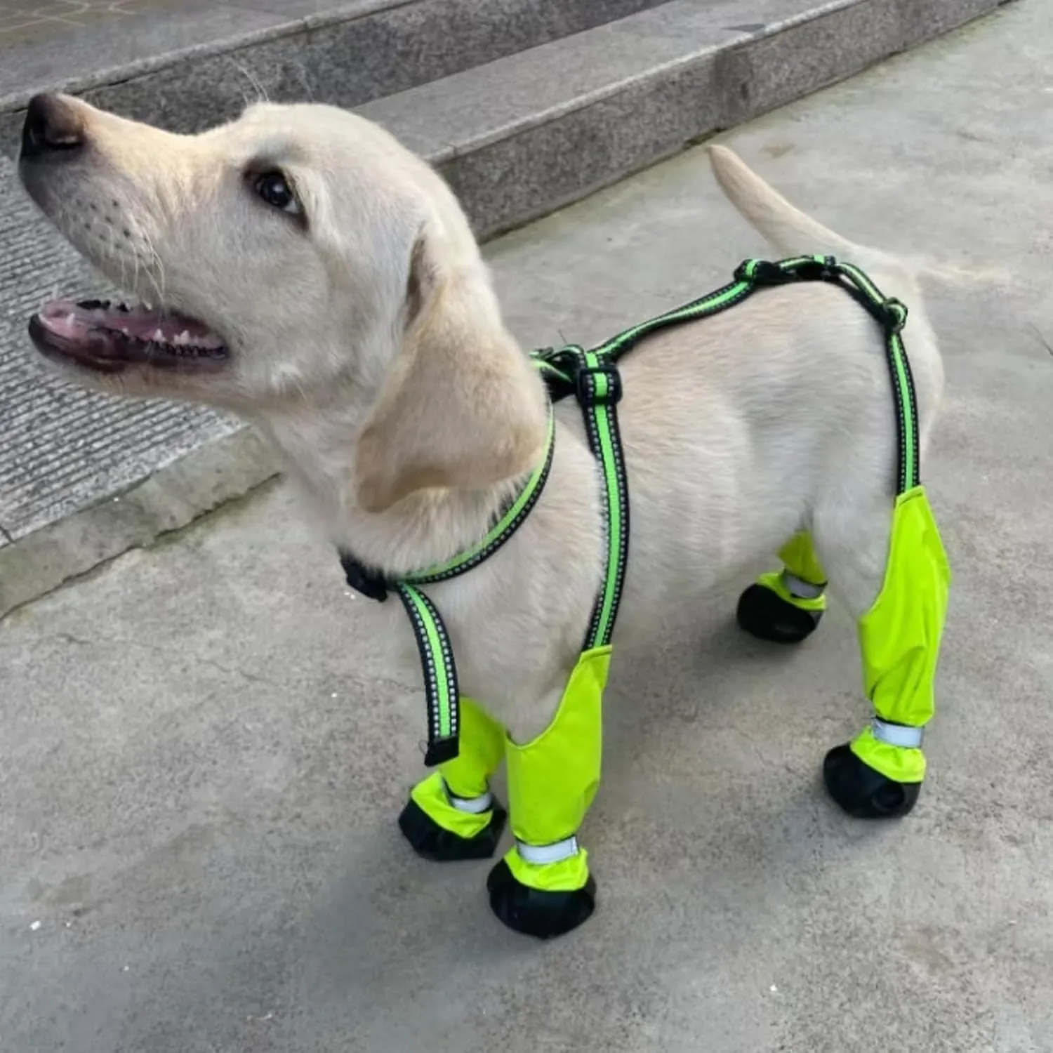Waterproof Dog Boots, Anti-Slip Adjustable Dog Pet Paw Protectors, Reflective Dog Boots with Suspenders, Dirty-Proof Dog Shoes for Small Medium Large Dogs Outdoor Walking Running Hiking Green XL