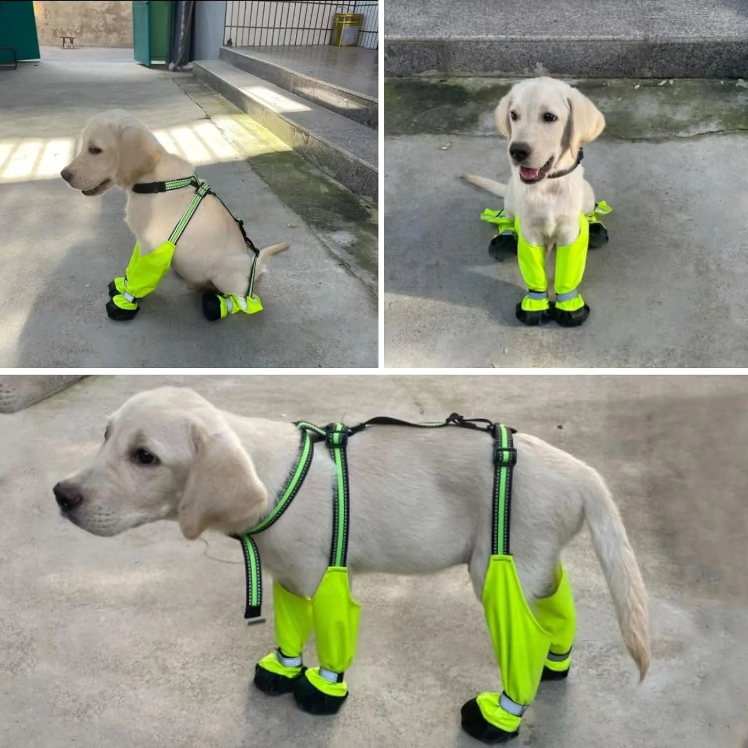 Waterproof Dog Boots, Anti-Slip Adjustable Dog Pet Paw Protectors, Reflective Dog Boots with Suspenders, Dirty-Proof Dog Shoes for Small Medium Large Dogs Outdoor Walking Running Hiking Green XL